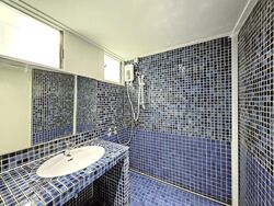 Dunearn Road (D11), Condominium #626456561